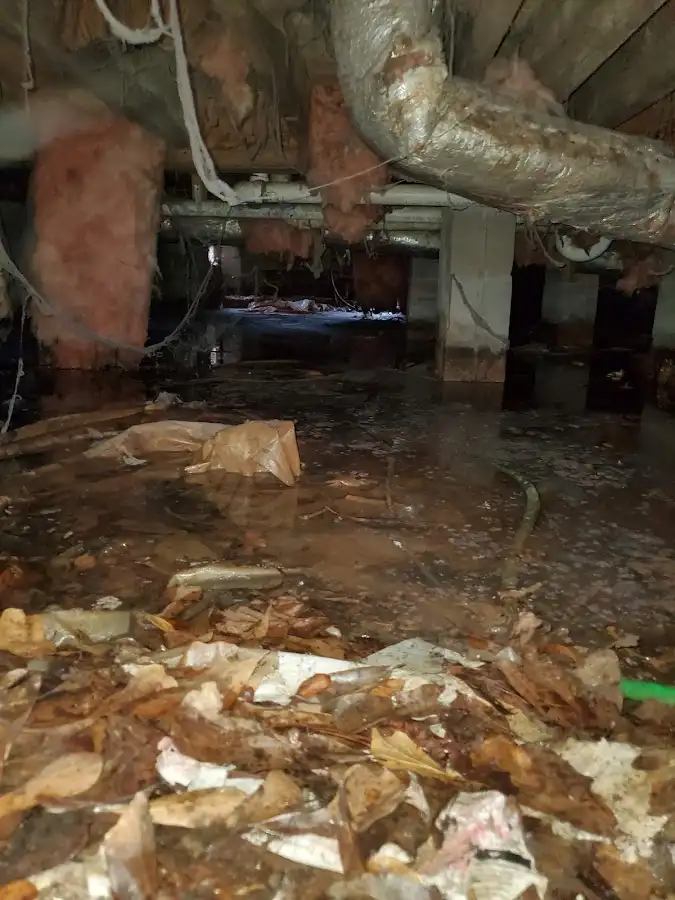 Crawl space flood assessment for Leak Detection & Repair in Chalco